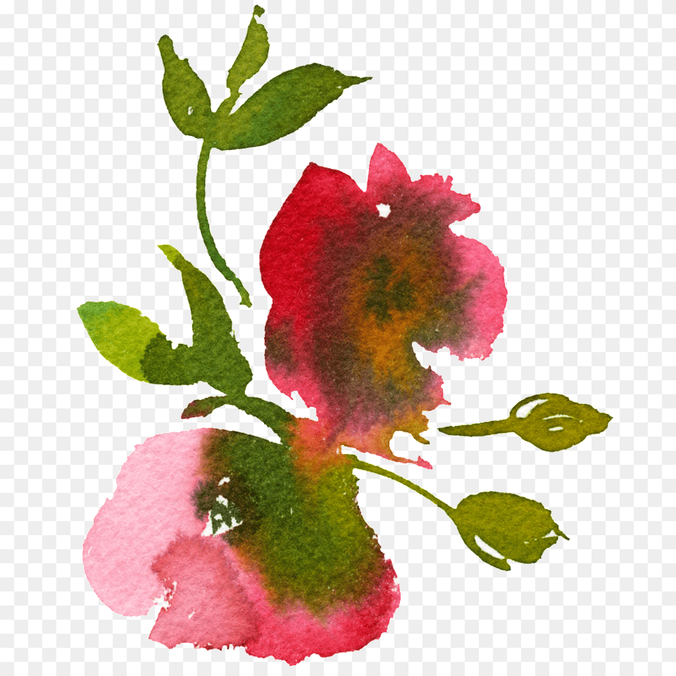 Hand Painted Smudged Watercolor Flower Art, Leaf, Graphics, Plant Free Transparent Png