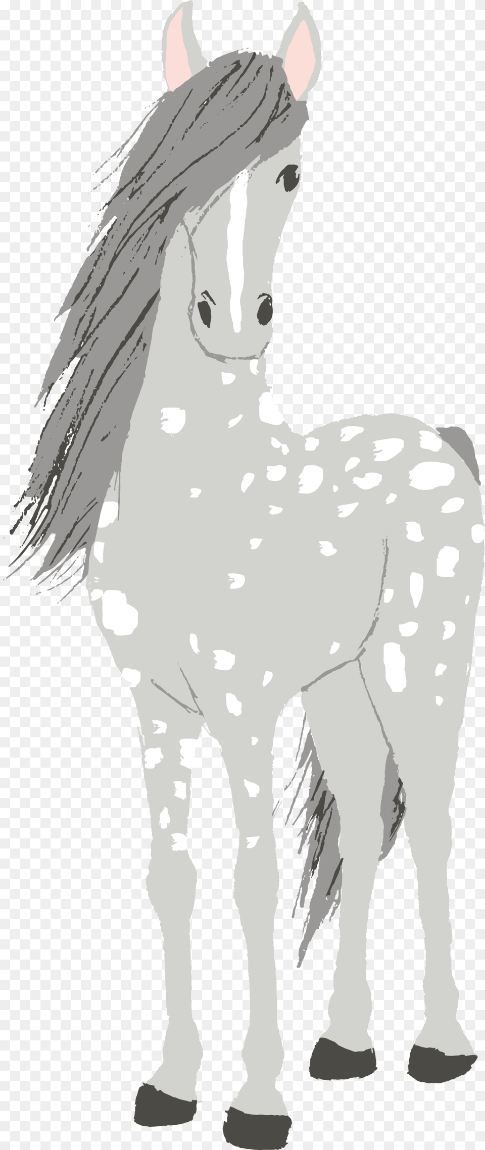 Hand Painted Spotted Horse Transparent Horse White Painting Horse, Animal, Mammal, Adult, Person Png Image