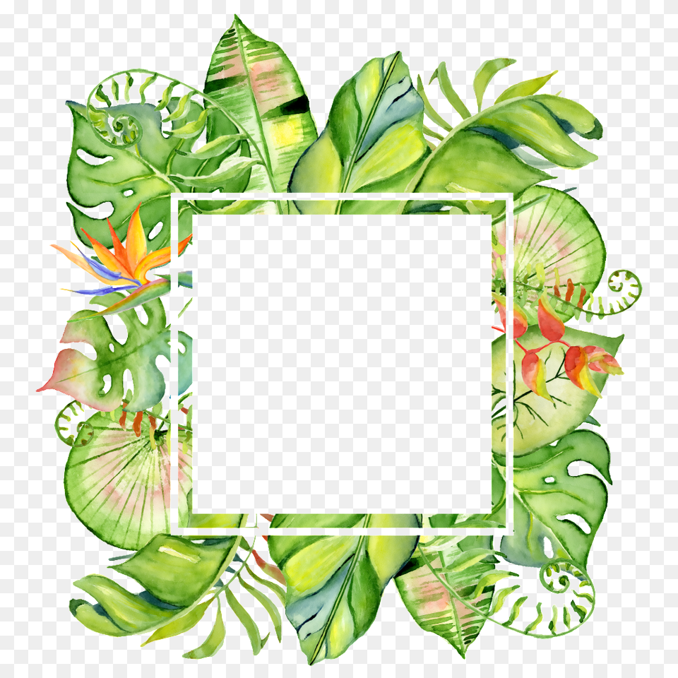 Hand Painted Square Leaf Frame Download, Green, Art, Collage, Cross Free Transparent Png