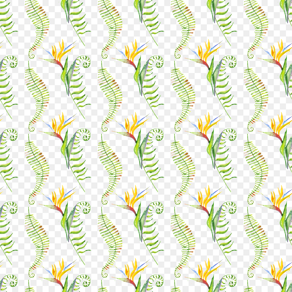 Hand Painted Strelitzia Ornamental Plant Background Photograph, Art, Floral Design, Graphics, Pattern Png Image