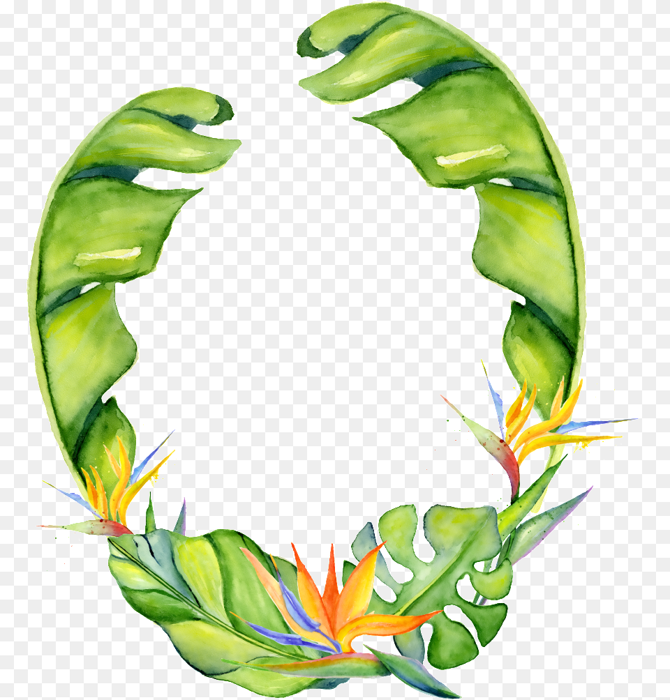 Hand Painted Strelitzia Transparent Surrounded Tropique Aquarelle, Plant, Accessories, Bracelet, Flower Free Png Download