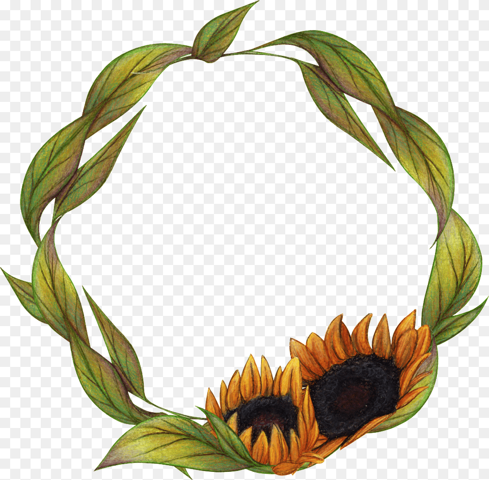 Hand Painted Sunflower Wreath Download, Flower, Plant, Art, Collage Free Transparent Png