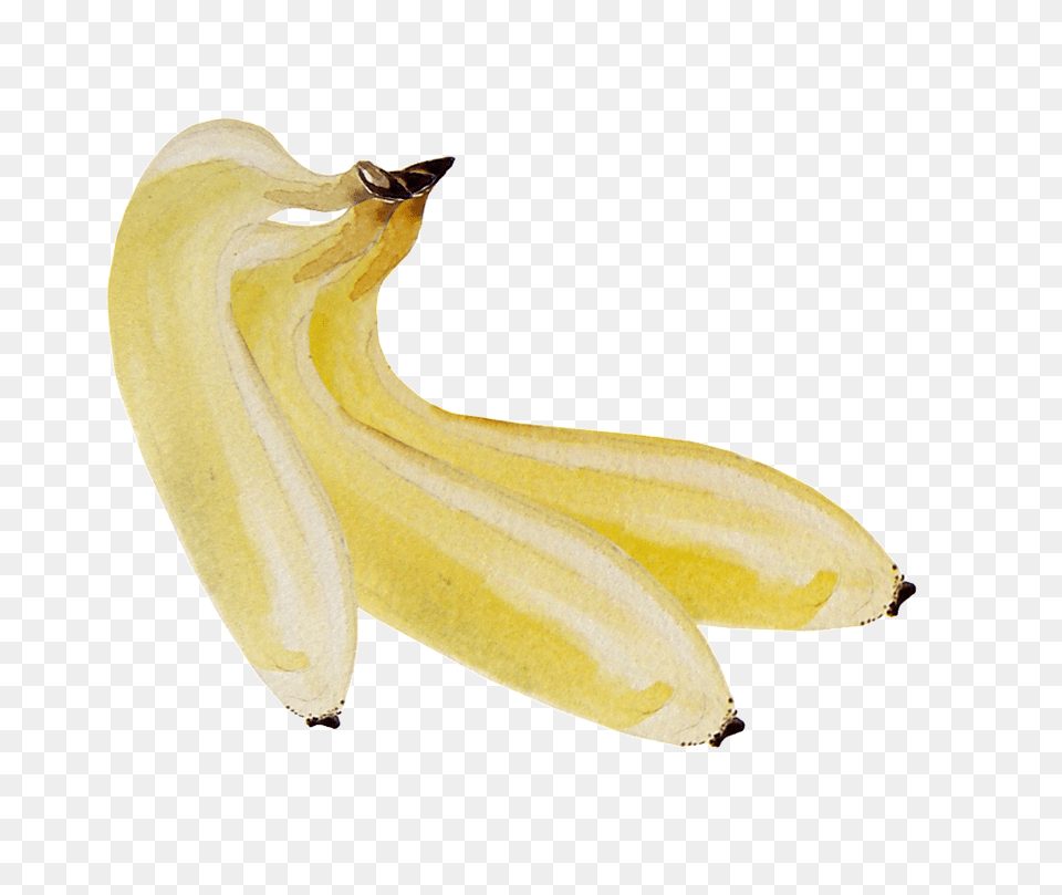 Hand Painted Three Bananas Download, Banana, Food, Fruit, Plant Free Png