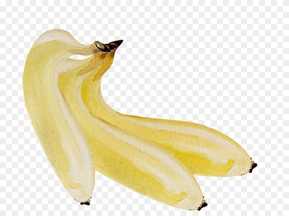 Hand Painted Three Bananas Peel, Banana, Food, Fruit, Plant Free Png