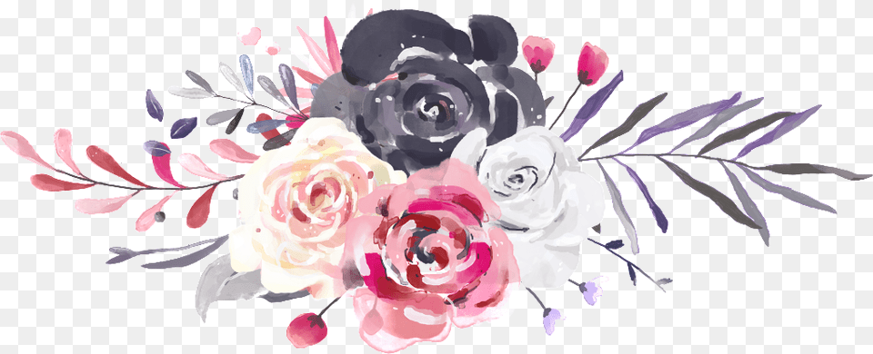 Hand Painted Three Color Rose Portable Network Graphics, Art, Floral Design, Flower, Pattern Png