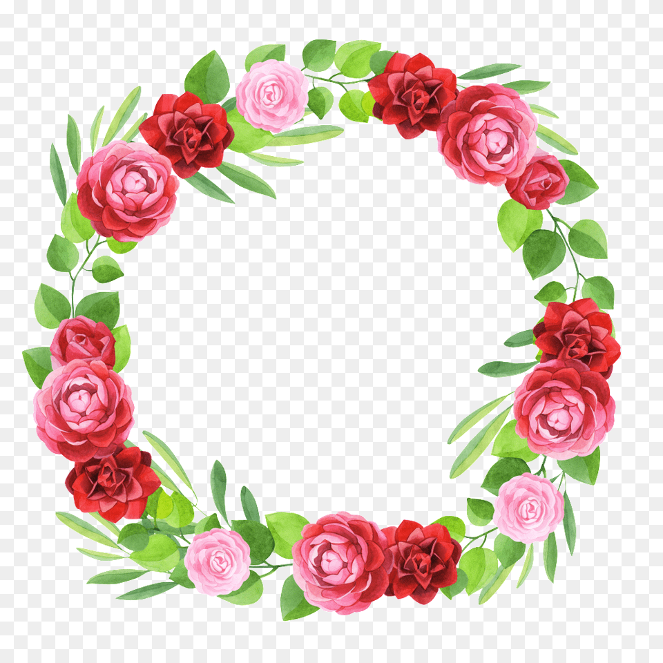 Hand Painted Three Colors Of Flowers Garland Transparent, Flower, Plant, Rose, Art Free Png Download