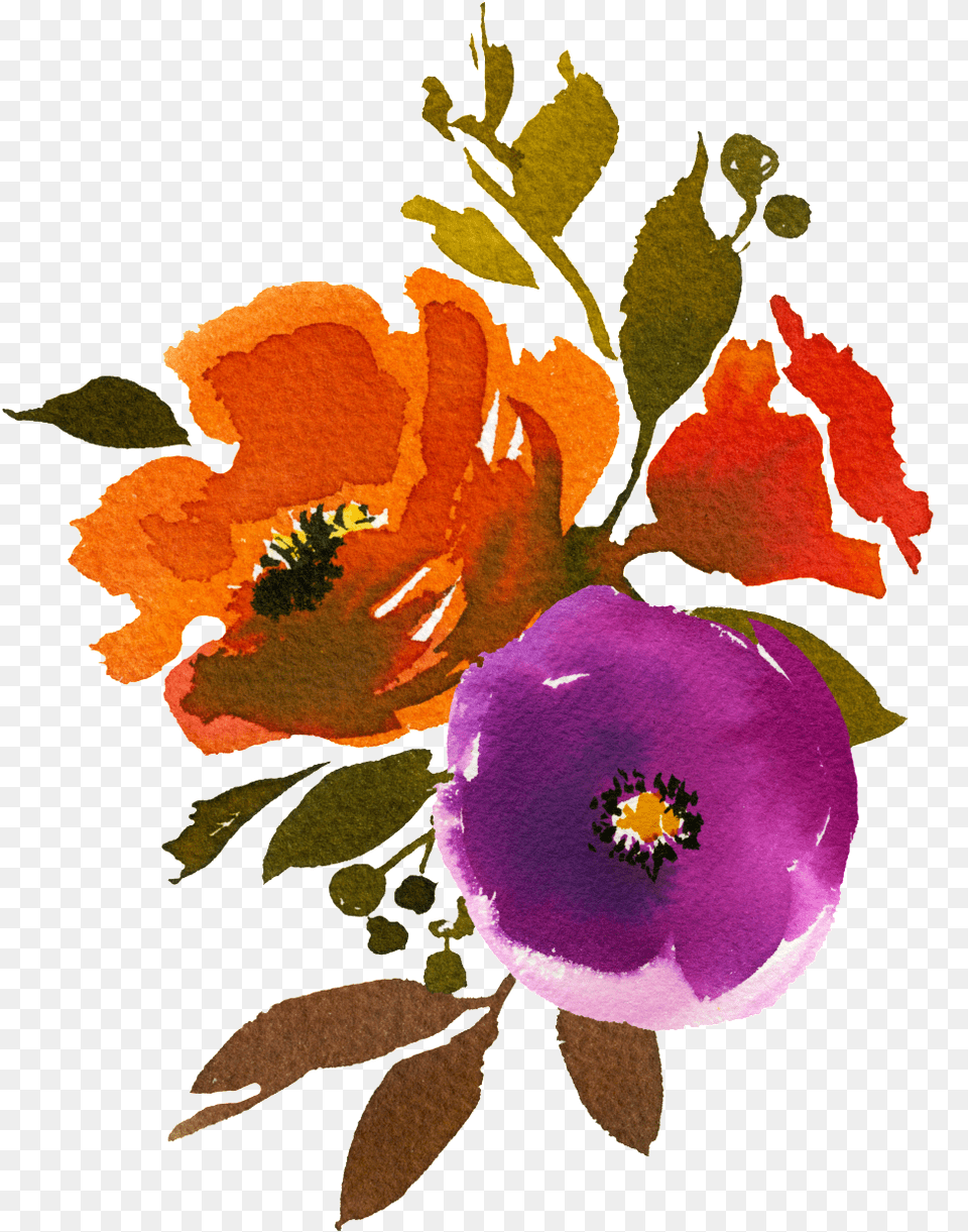 Hand Painted Three Colors Of Watercolor Flowers Colorful Flower Watercolor, Anemone, Anther, Plant, Art Free Png