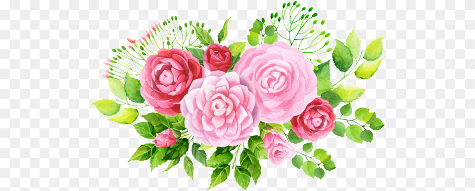 Hand Painted Three Varieties Of Flowers Floral Rose Vector, Art, Floral Design, Flower, Flower Arrangement Free Transparent Png