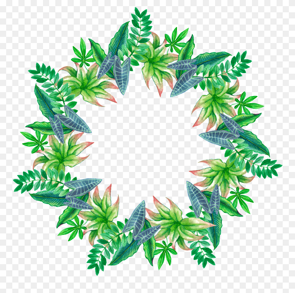 Hand Painted Tropical Leaves Stars Ring Transparent Free, Green, Leaf, Pattern, Plant Png Image