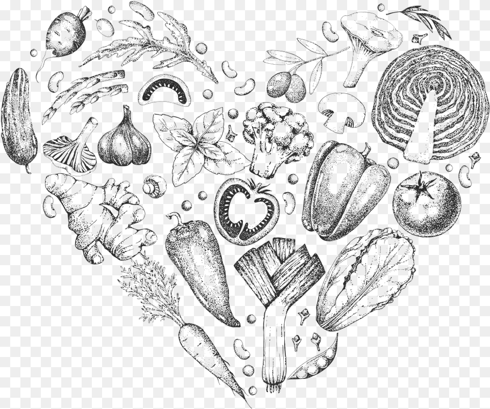 Hand Painted Various Vegetables Sketch, Art, Doodle, Drawing, Plant Free Transparent Png