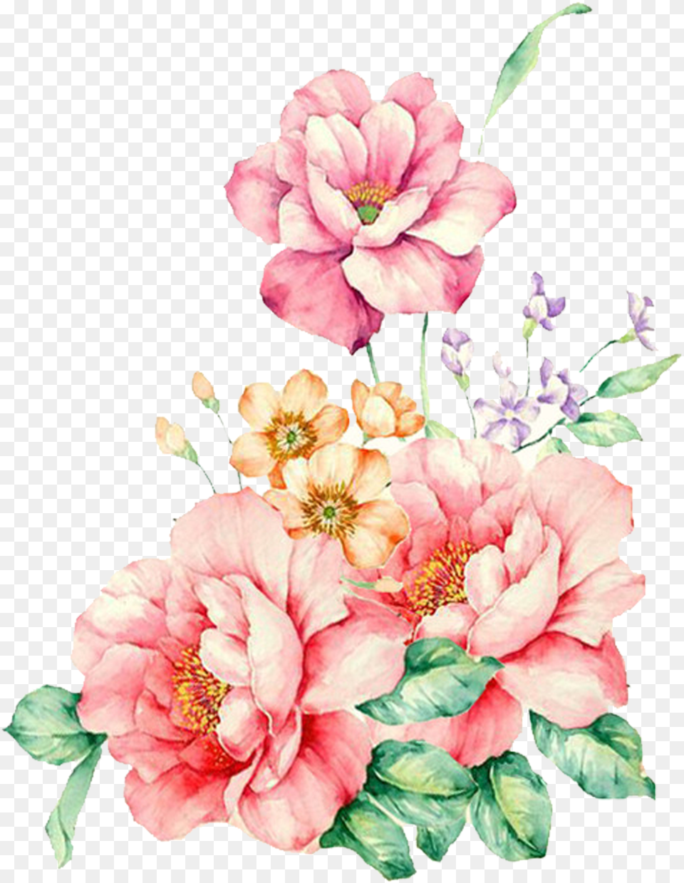 Hand Painted Vivid Colorful Flowers And Ornamental Flower Art Water Paint, Plant, Rose, Anther, Petal Free Transparent Png