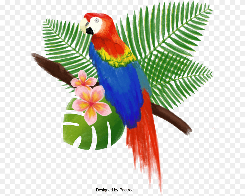 Hand Painted Watercolor Big Mouth Bird Poster T Shirt, Plant, Animal, Parrot, Macaw Free Transparent Png