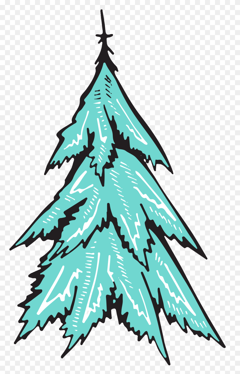 Hand Painted Watercolor Christmas Tree Spruce Tree Images, Plant, Fir, Christmas Decorations, Festival Free Png Download