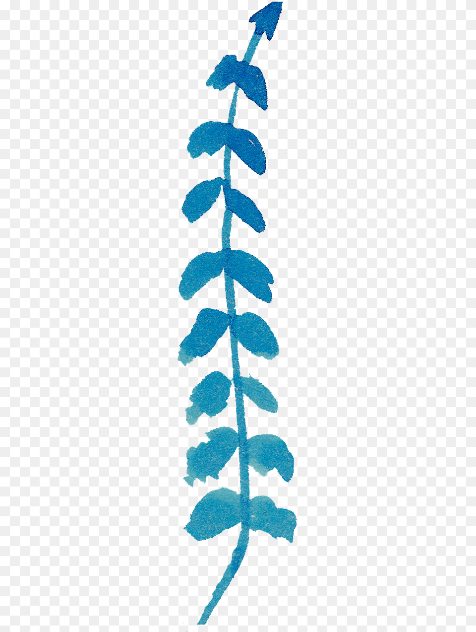 Hand Painted Watercolor Watercolour Picture Watercolor Blue Leaf, Plant, Pattern, Fern, Art Free Transparent Png