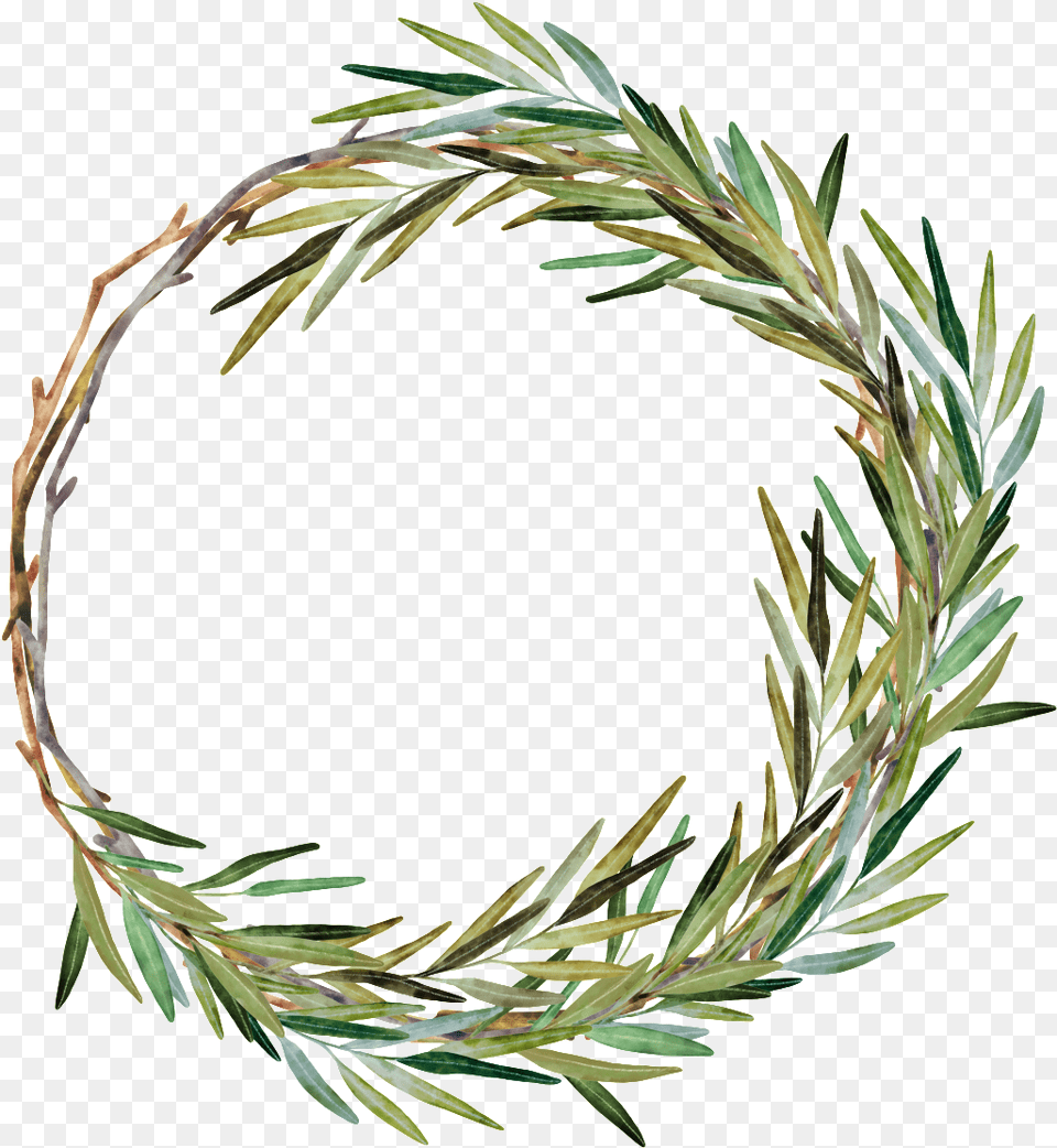 Hand Painted Weed Grass Ring Watercolor Painting, Wreath, Plant, Tree Png