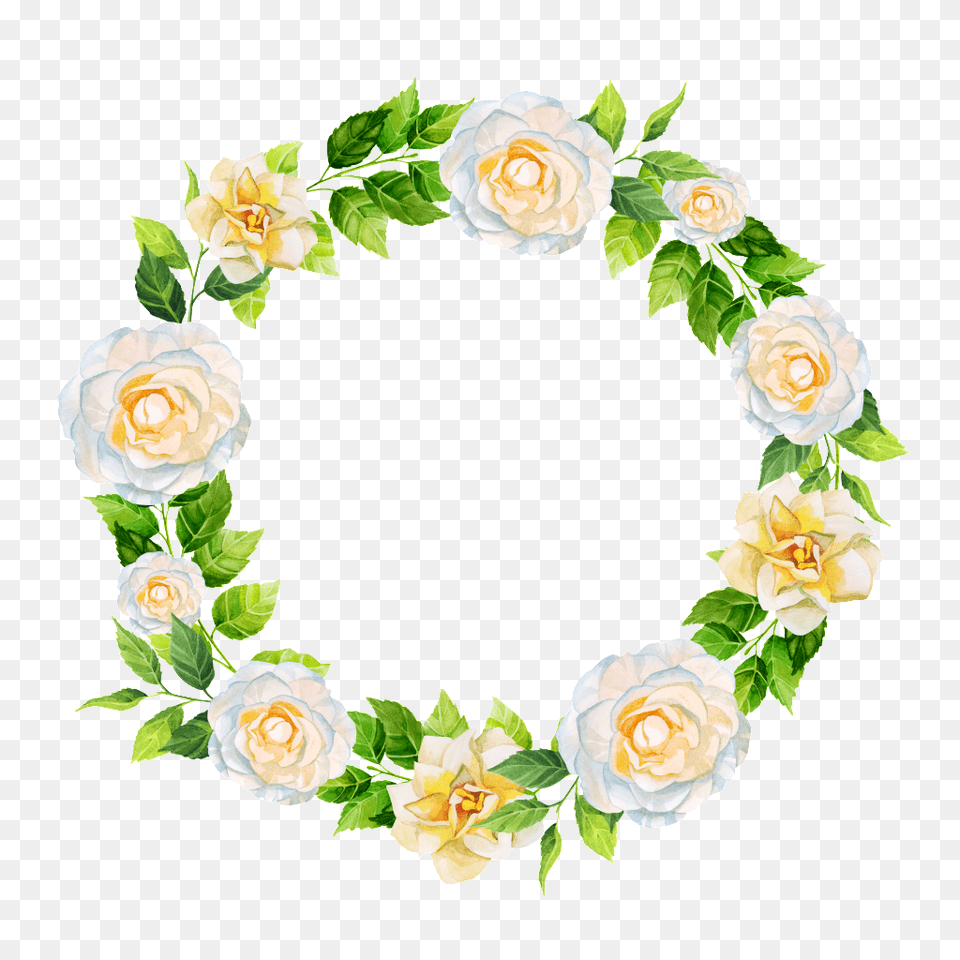 Hand Painted White Rose Wreath Transparent Download, Flower, Plant, Flower Arrangement, Pattern Png Image
