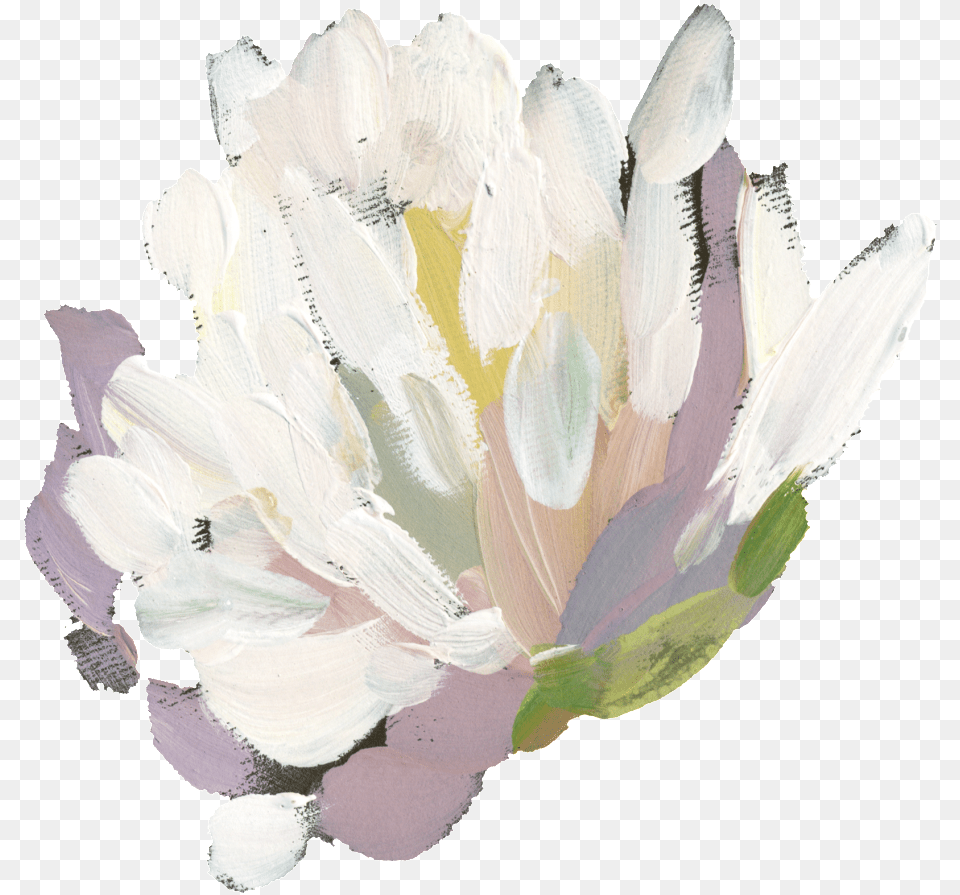 Hand Painted White Watercolor Flower Sacred Lotus, Dahlia, Petal, Plant, Anther Free Png Download