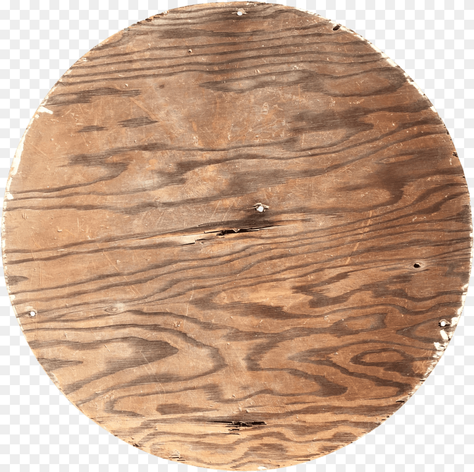 Hand Painted Wood Quotbull For Salequot Folk Plywood, Plant, Tree, Lumber Png