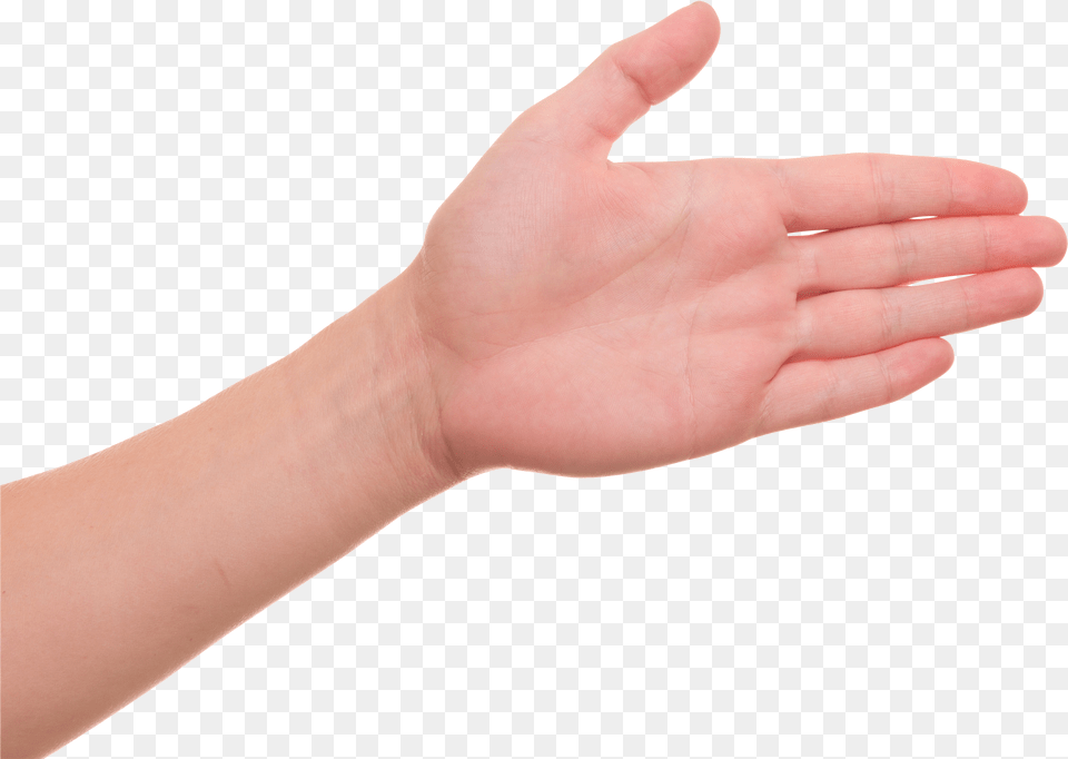 Hand Palm Of Hand Png