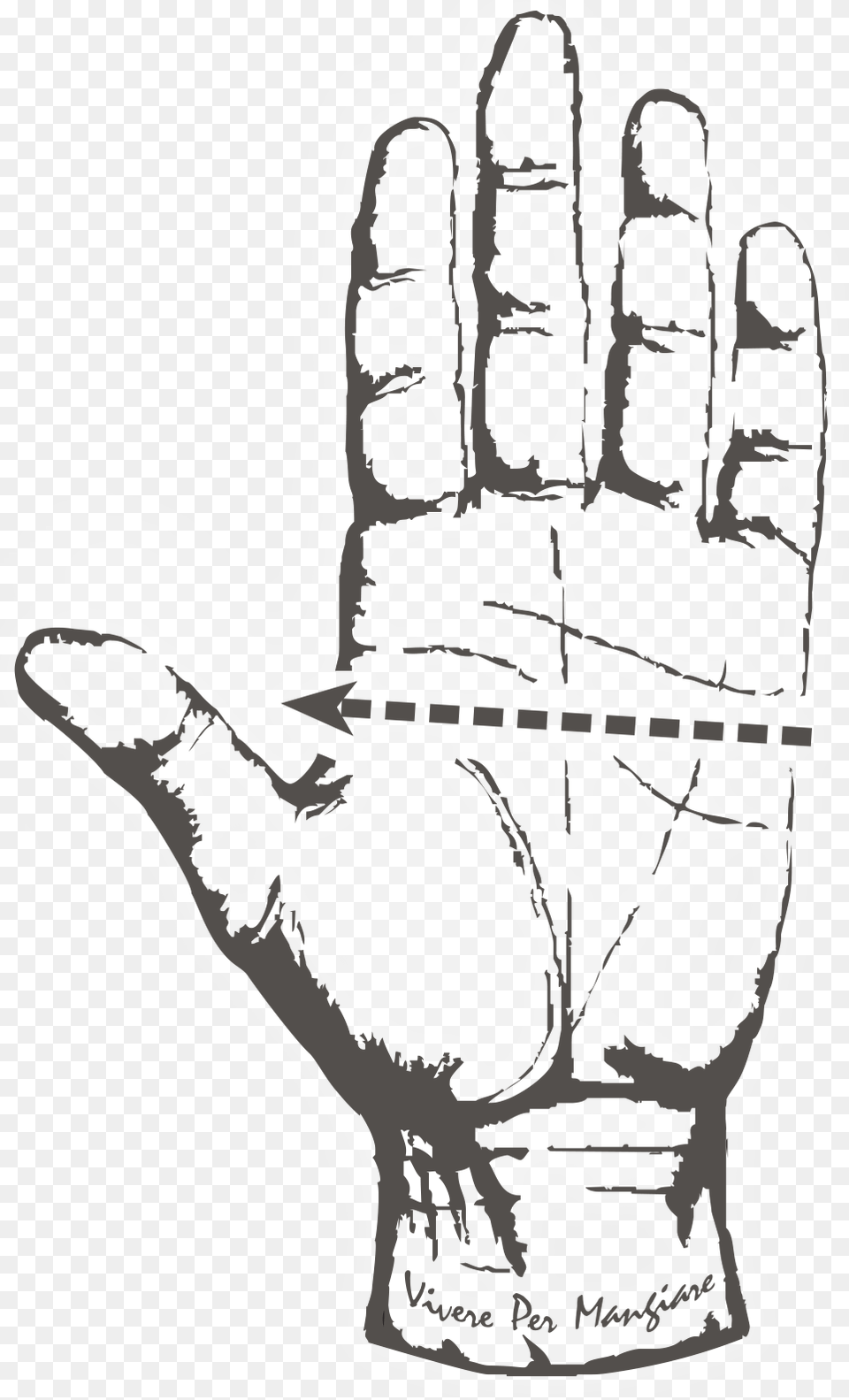 Hand Palm Reading Guide, Body Part, Clothing, Glove, Person Png Image