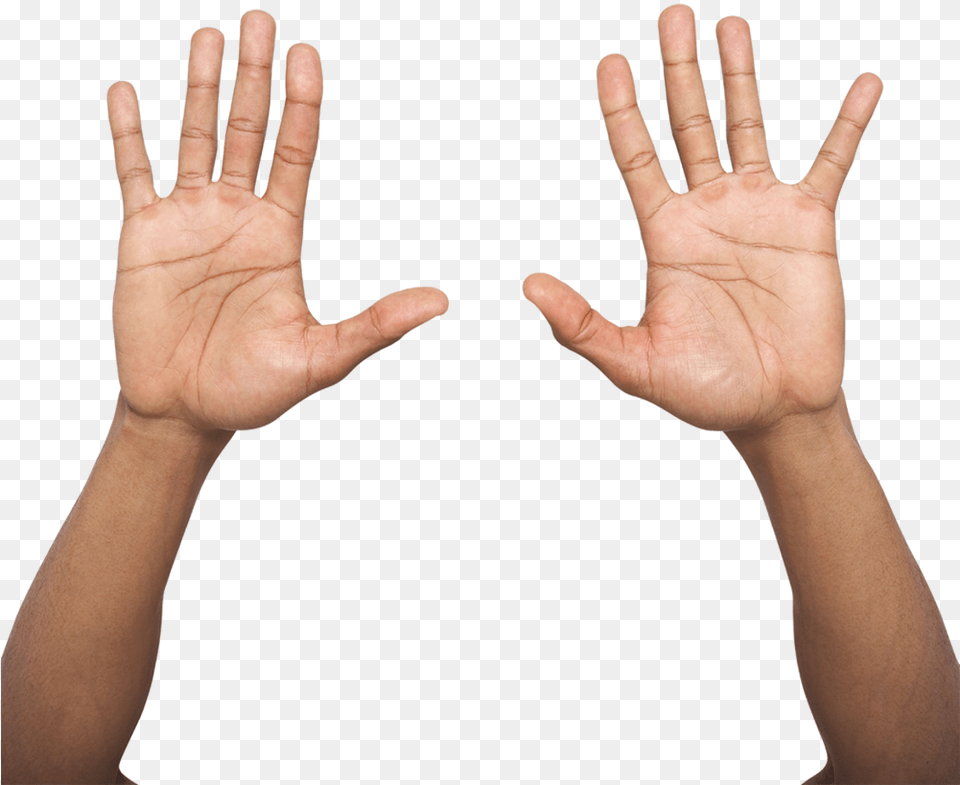 Hand Palm Up Two Hands Up, Body Part, Finger, Person, Wrist Png Image