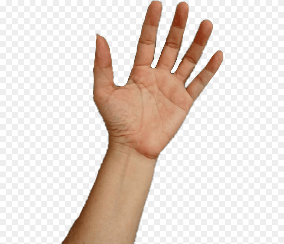 Hand People Human Open Keep Hold Take Put Love Hold Hands Open Body Part, Finger, Person, Wrist Free Transparent Png