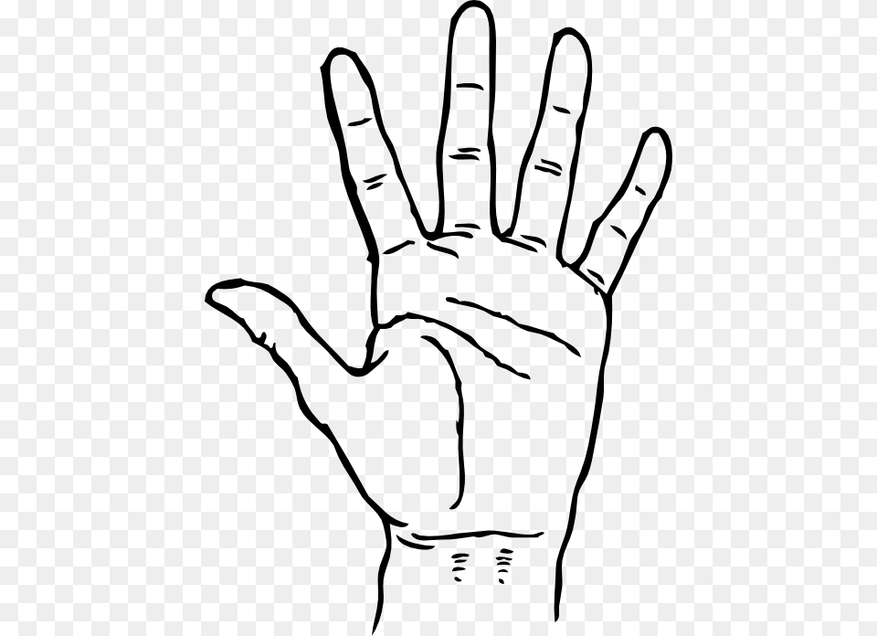 Hand Pictures Clip Art, Body Part, Finger, Person, Baby Png