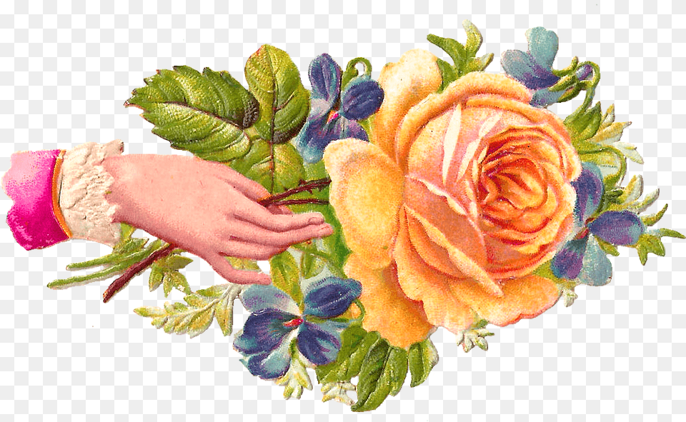 Hand Rose Stickpng Welcome Images With Hands, Plant, Pattern, Graphics, Flower Bouquet Free Png Download