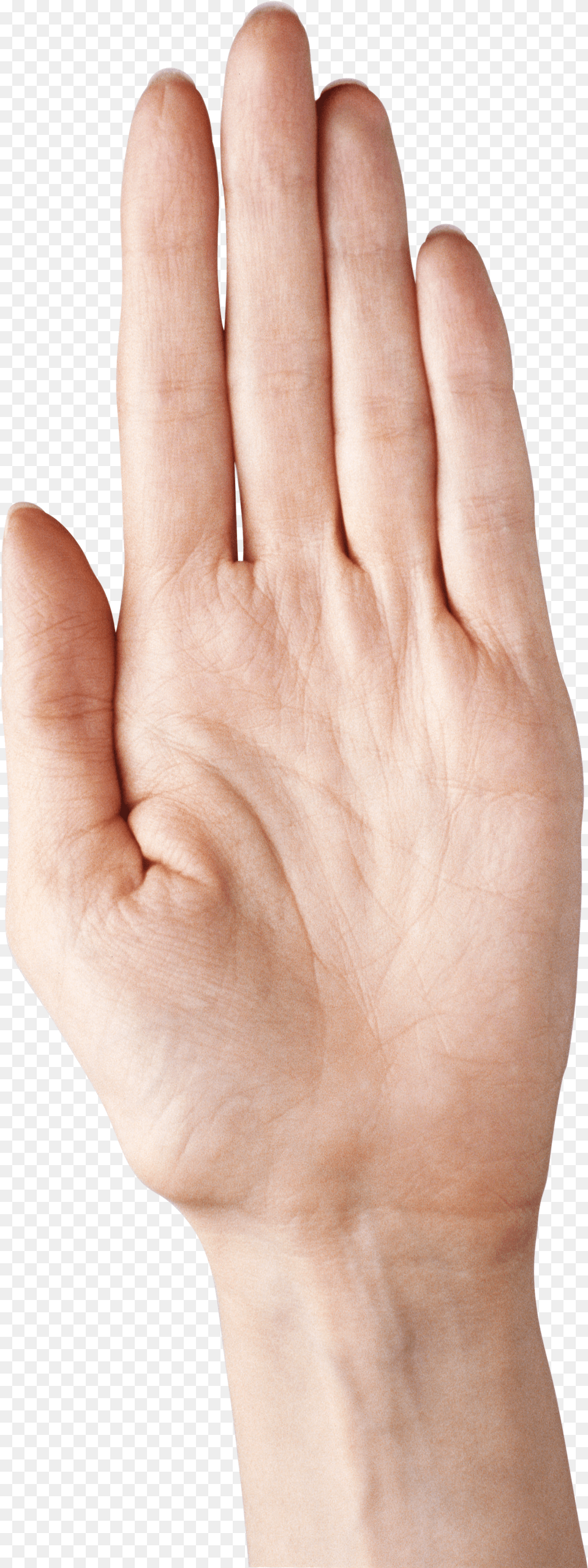 Hand Showing Five Fingers Clipart Picture Five Fingers Hand Png Image