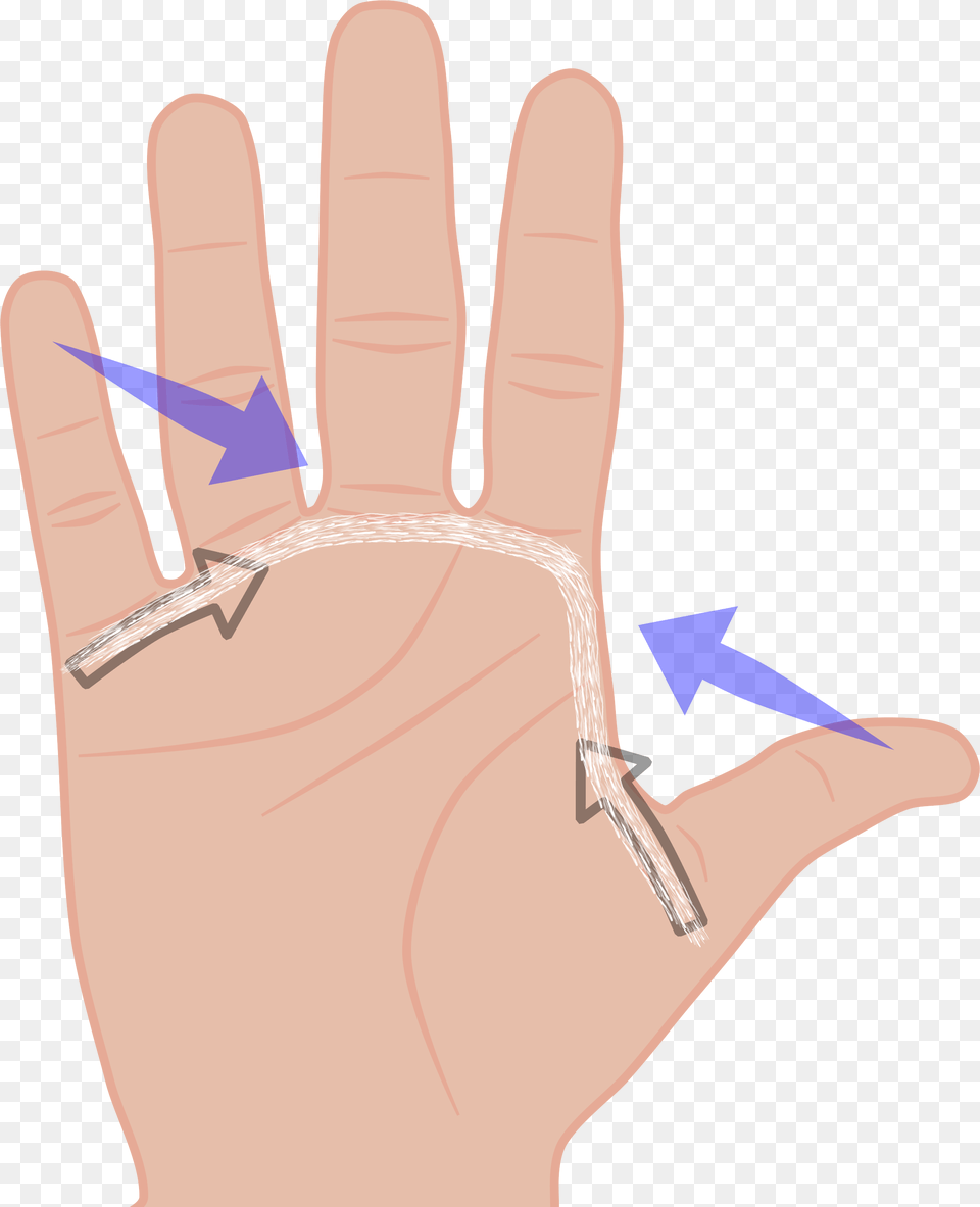 Hand Span Clipart, Body Part, Finger, Person, Wrist Free Png Download