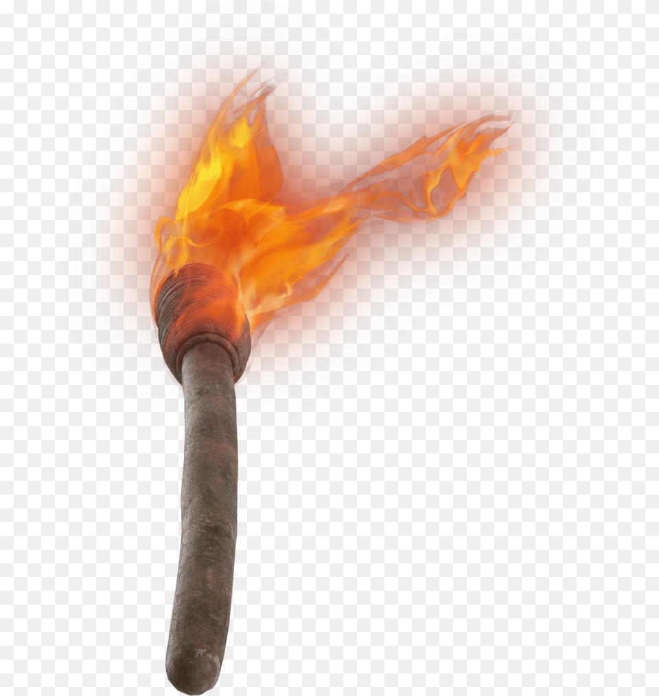 Hand Torch Image Fish, Light, Person Free Png Download