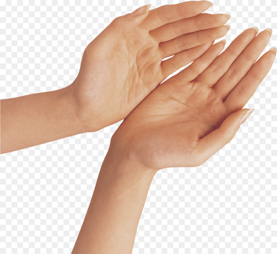 Hand Transparent Background Transparent Transparent Background Hand, Body Part, Finger, Person, Wrist Free Png Download