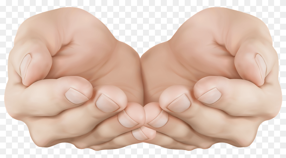 Hand Transparent Clipart Cupped Hands, Body Part, Finger, Person, Baby Free Png Download