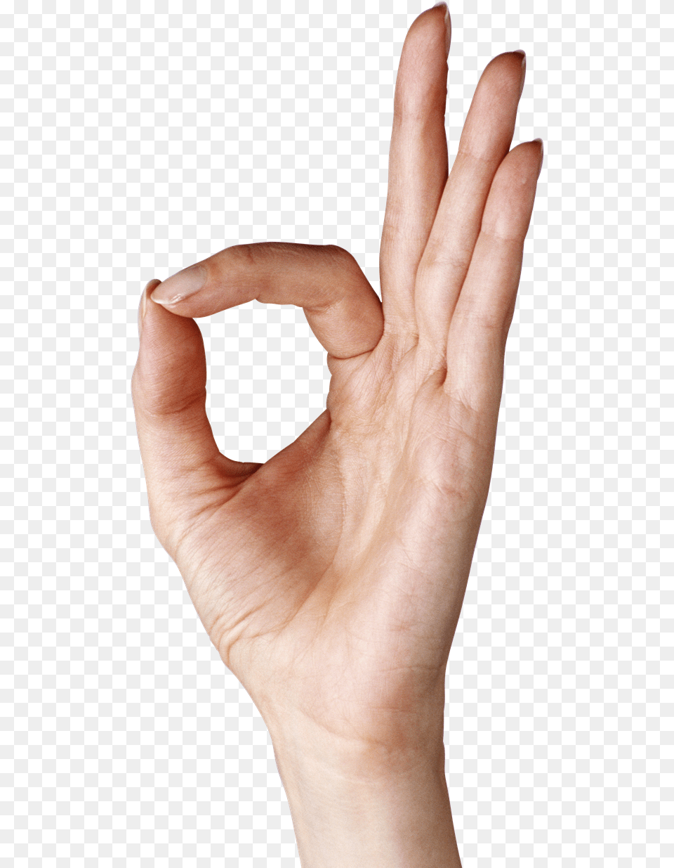Hand O Hand Sign, Body Part, Finger, Person, Adult Free Transparent Png
