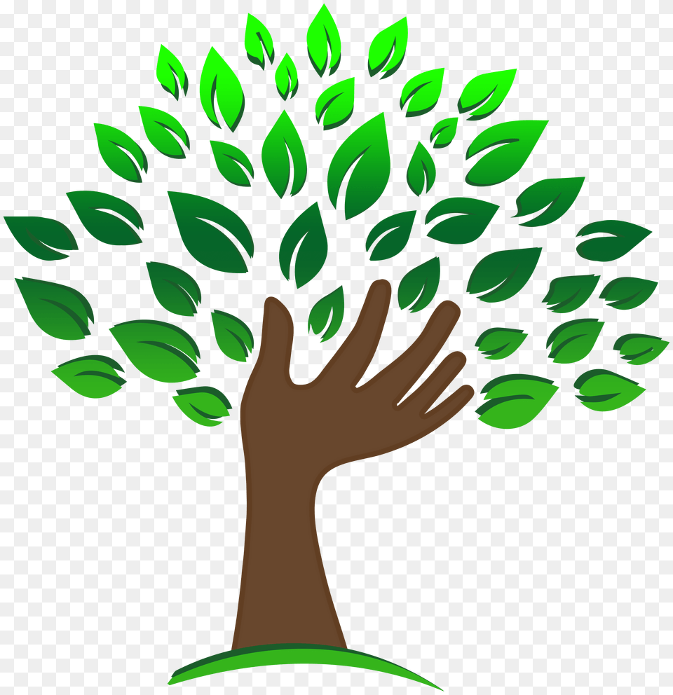 Hand Tree Clipart, Green, Leaf, Plant, Herbal Png Image