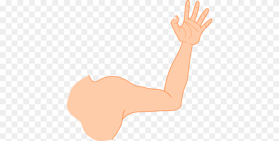 Hand Vector Graphics Armpit Clipart, Arm, Body Part, Person, Adult Png Image