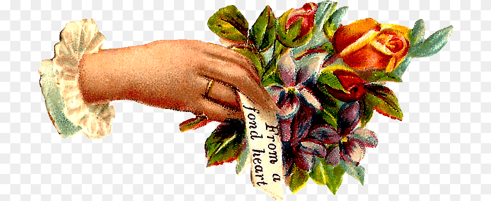 Hand Wishes Vintage Transparent Stickpng Hand With Flowers Vintage, Wrist, Rose, Plant, Person Free Png