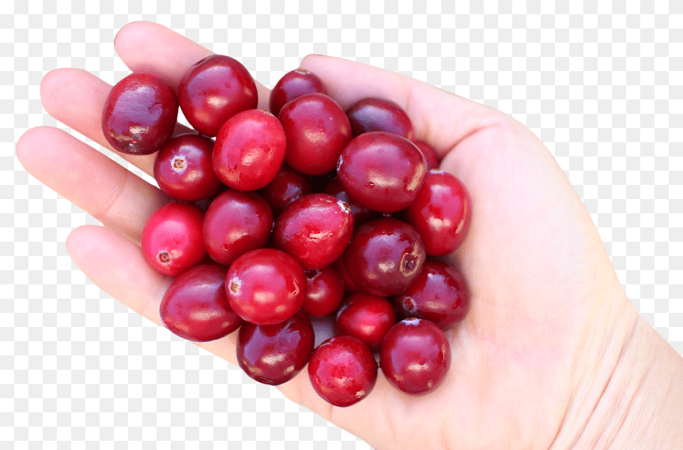 Hand With Cranberries Image, Food, Fruit, Plant, Produce Free Png Download