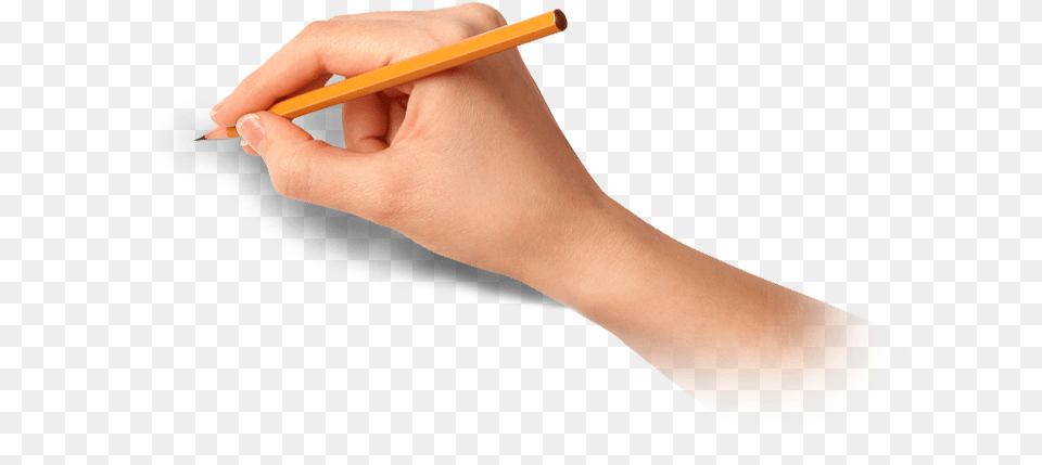 Hand Writing With Pen, Pencil, Adult, Female, Person Free Transparent Png
