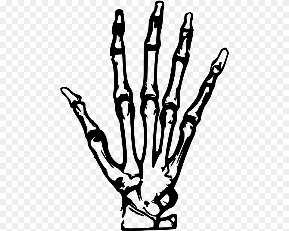 Hand X Ray Vector File Vector Clip Art, Gray Png Image