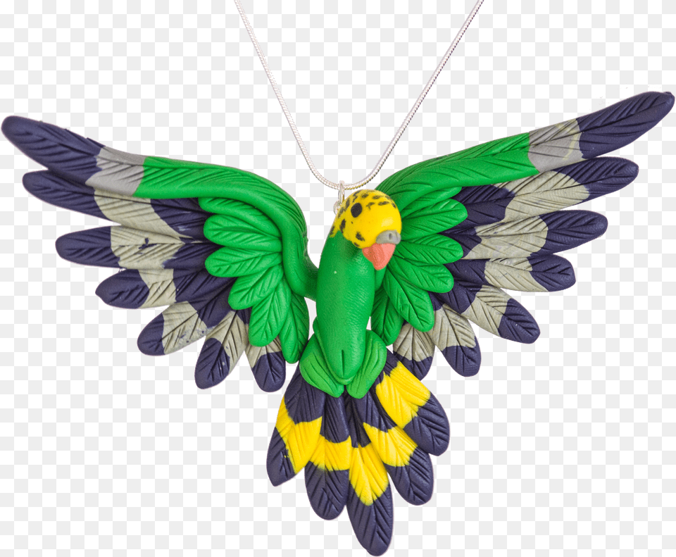 Handcrafted Budgie Necklace Png Image
