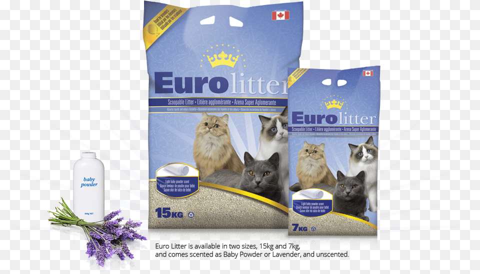 Handcrafted In Canada Eurolitter, Plant, Flower, Pet, Mammal Png