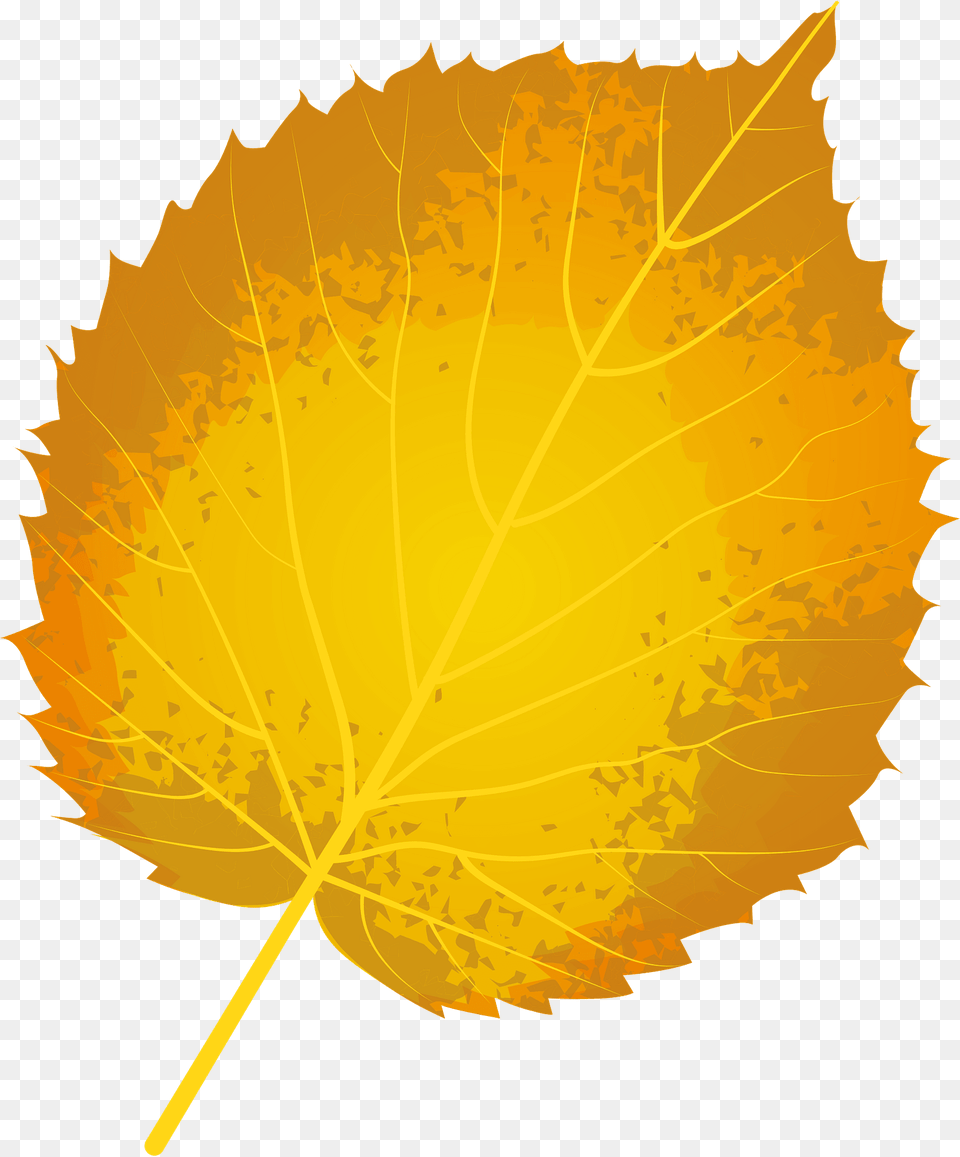 Handkerchief Tree Autumn Leaf Clipart, Plant, Maple Leaf, Ammunition, Grenade Free Png Download