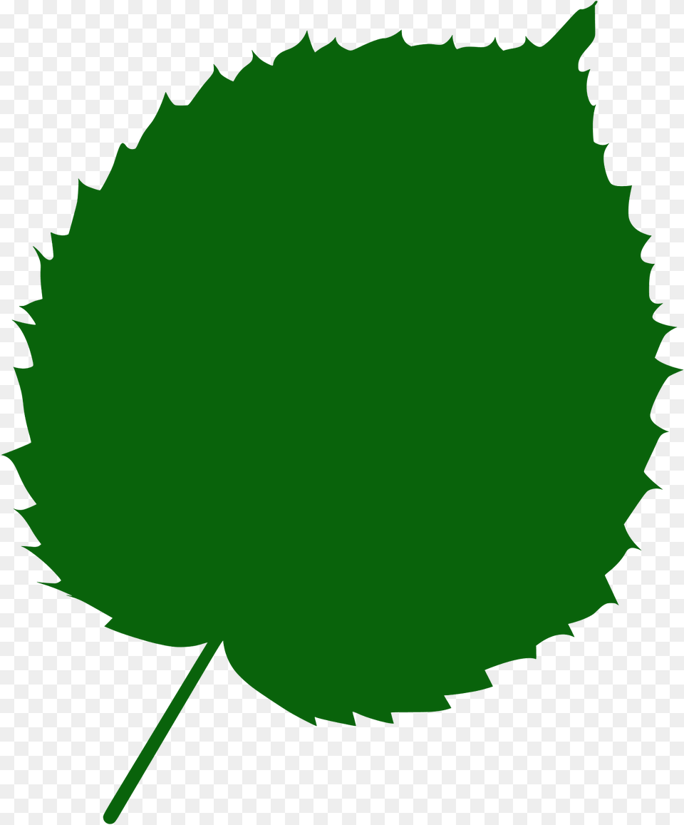 Handkerchief Tree Leaf Silhouette, Green, Plant, Person, Herbal Free Png