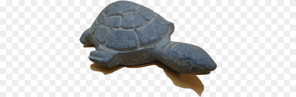 Handmade Turtle Stone Handicraft Art Of Odisha Ridley Sea Turtle, Animal, Reptile, Sea Life, Tortoise Free Transparent Png