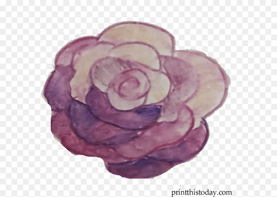 Handmade Watercolor Wreath And Flowers For Blogs Garden Roses, Accessories, Flower, Plant, Rose Free Transparent Png