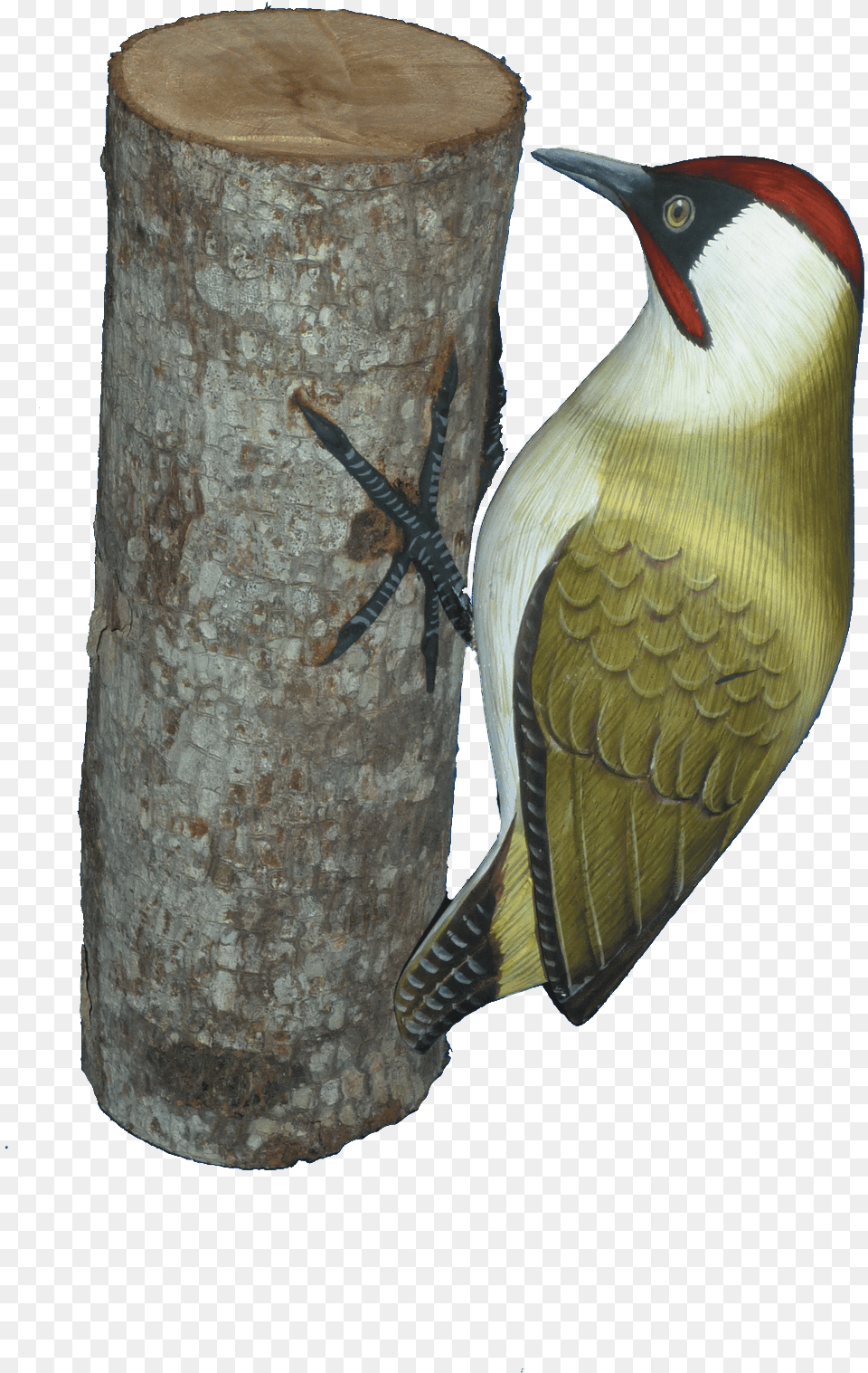 Handpainted Carved Green Woodpecker British Birds Hand Carved, Plant, Tree, Animal, Bird Png