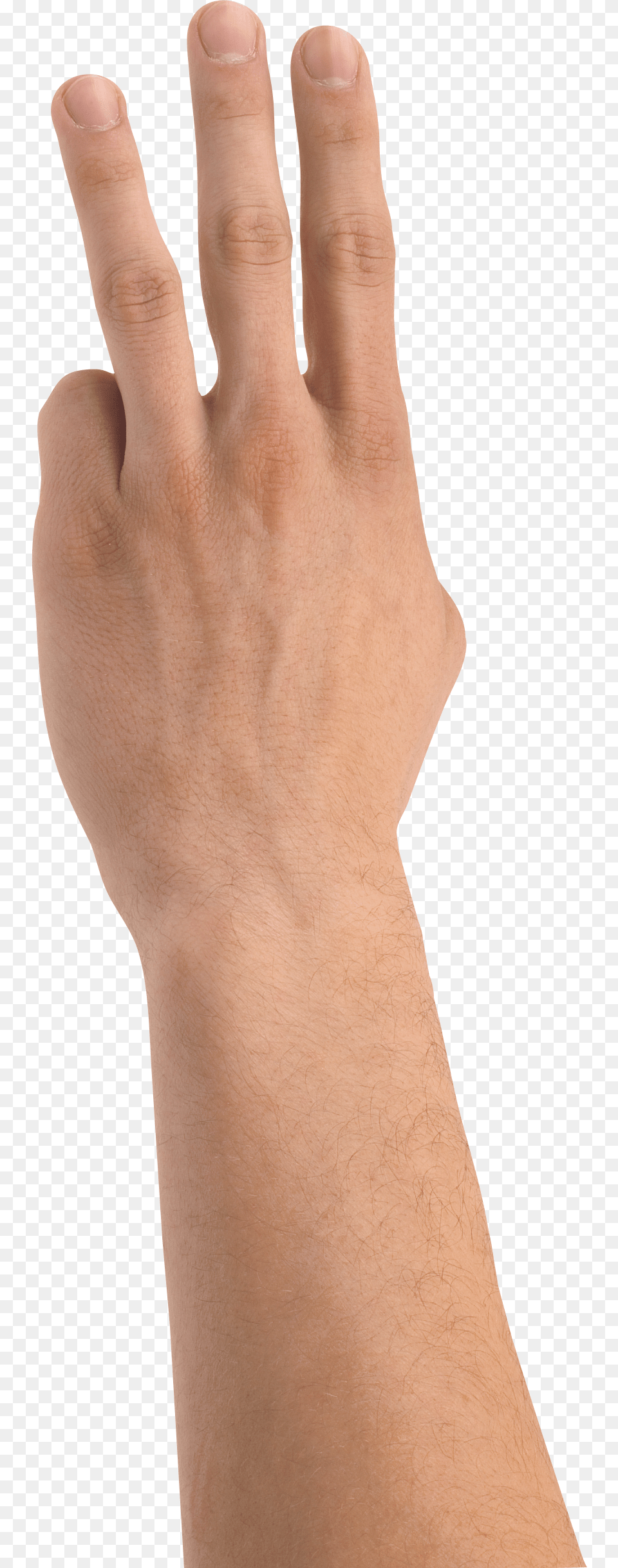 Hands, Body Part, Finger, Hand, Person Free Png Download