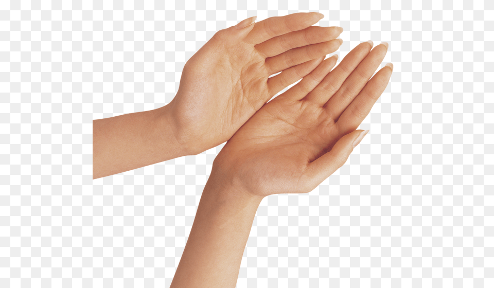 Hands, Body Part, Finger, Hand, Person Free Transparent Png