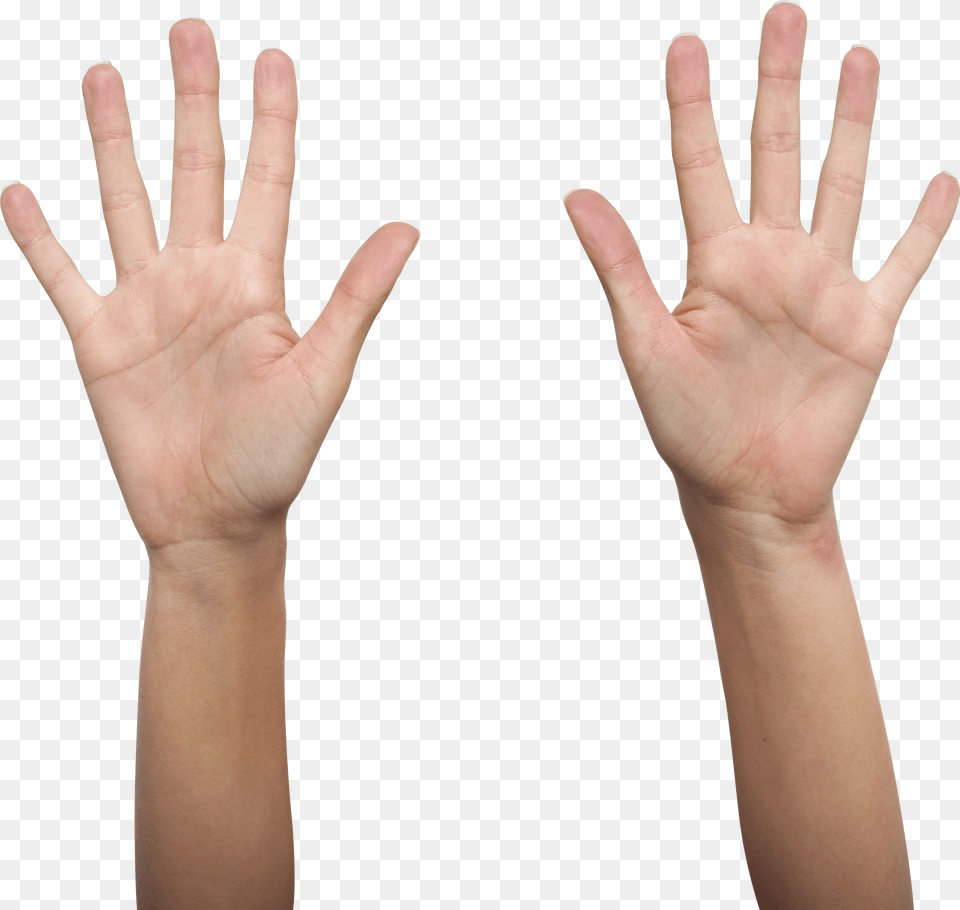 Hands Png Image